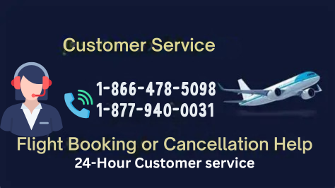 How to Contact PricelineÂ® Customer Service | Official 24/7 Support & Assistance Guide - YouTube